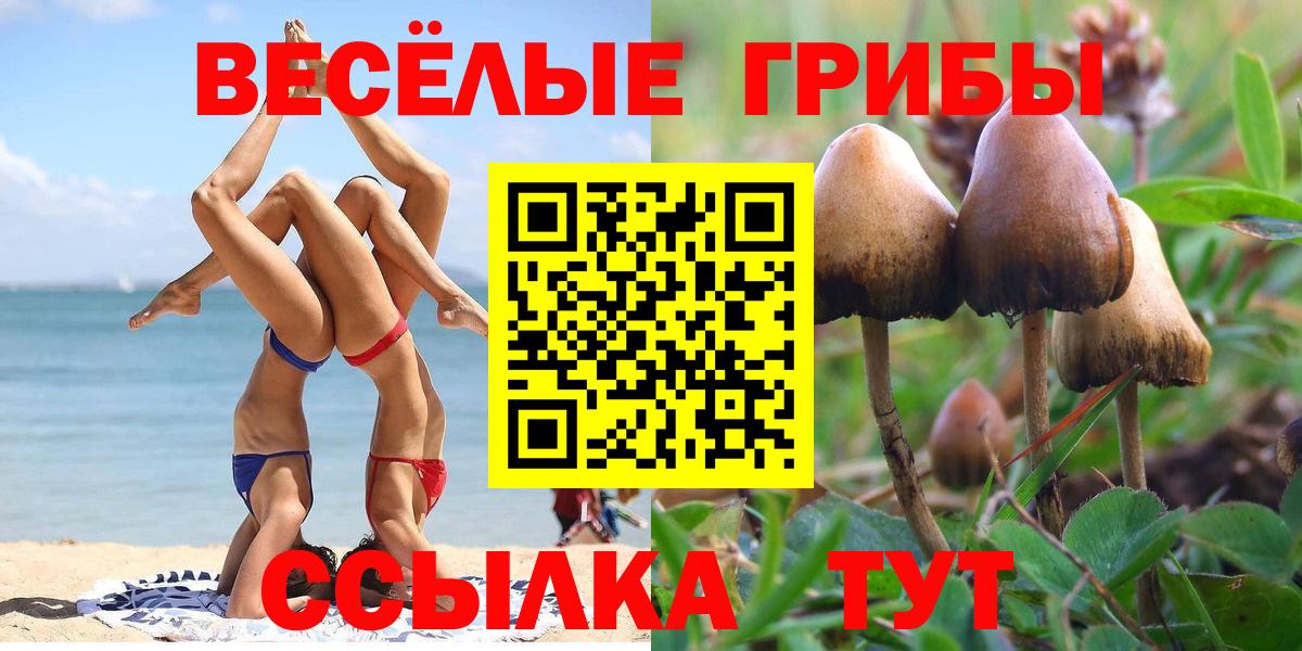 купить наркоту  Галлюциногенные грибы GOLDEN TEACHER  Вход с VPN  Галлюциногенные грибы ЛСД  Кимовск 